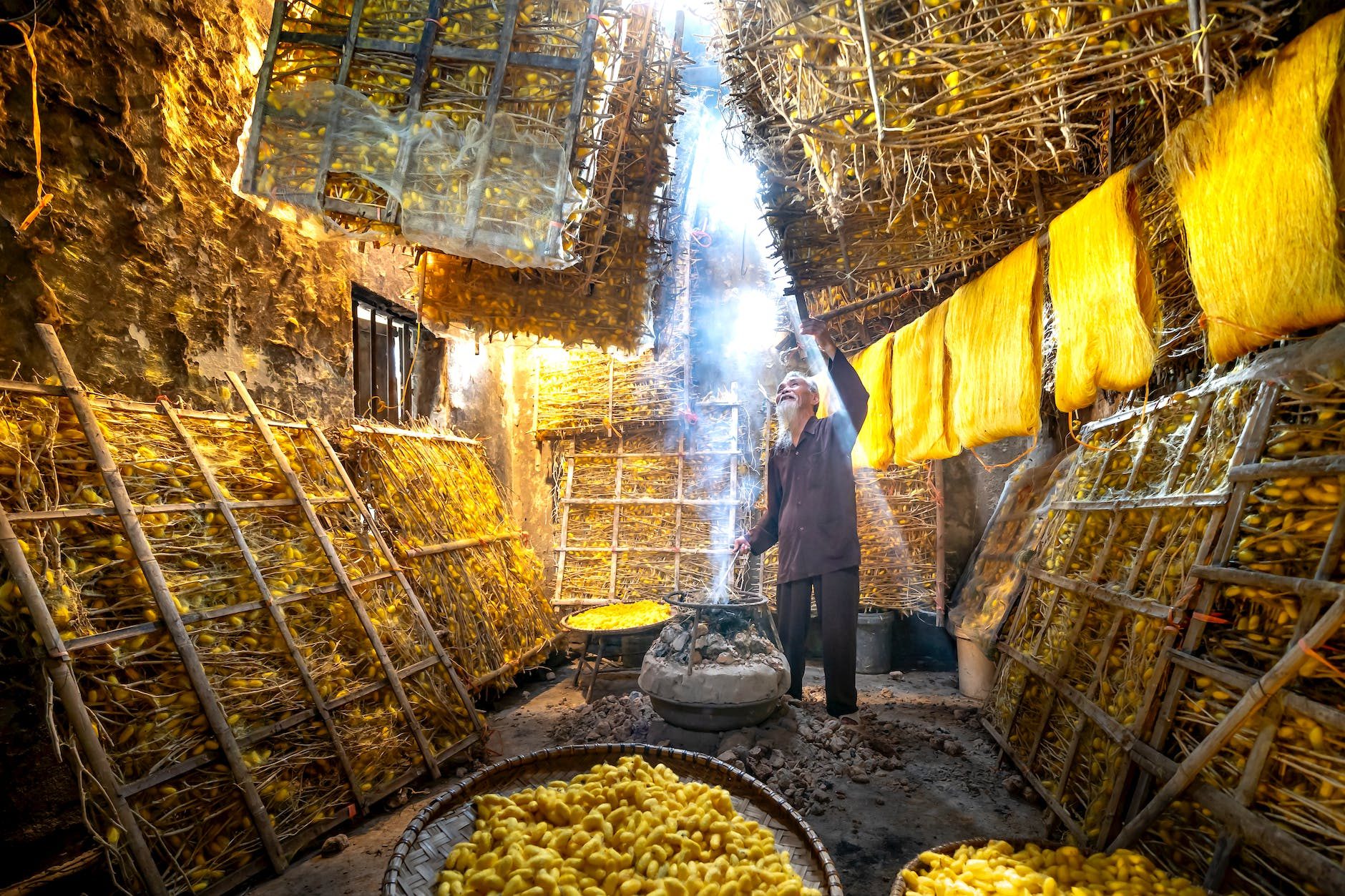 senior silk farmer in a cocoon storage