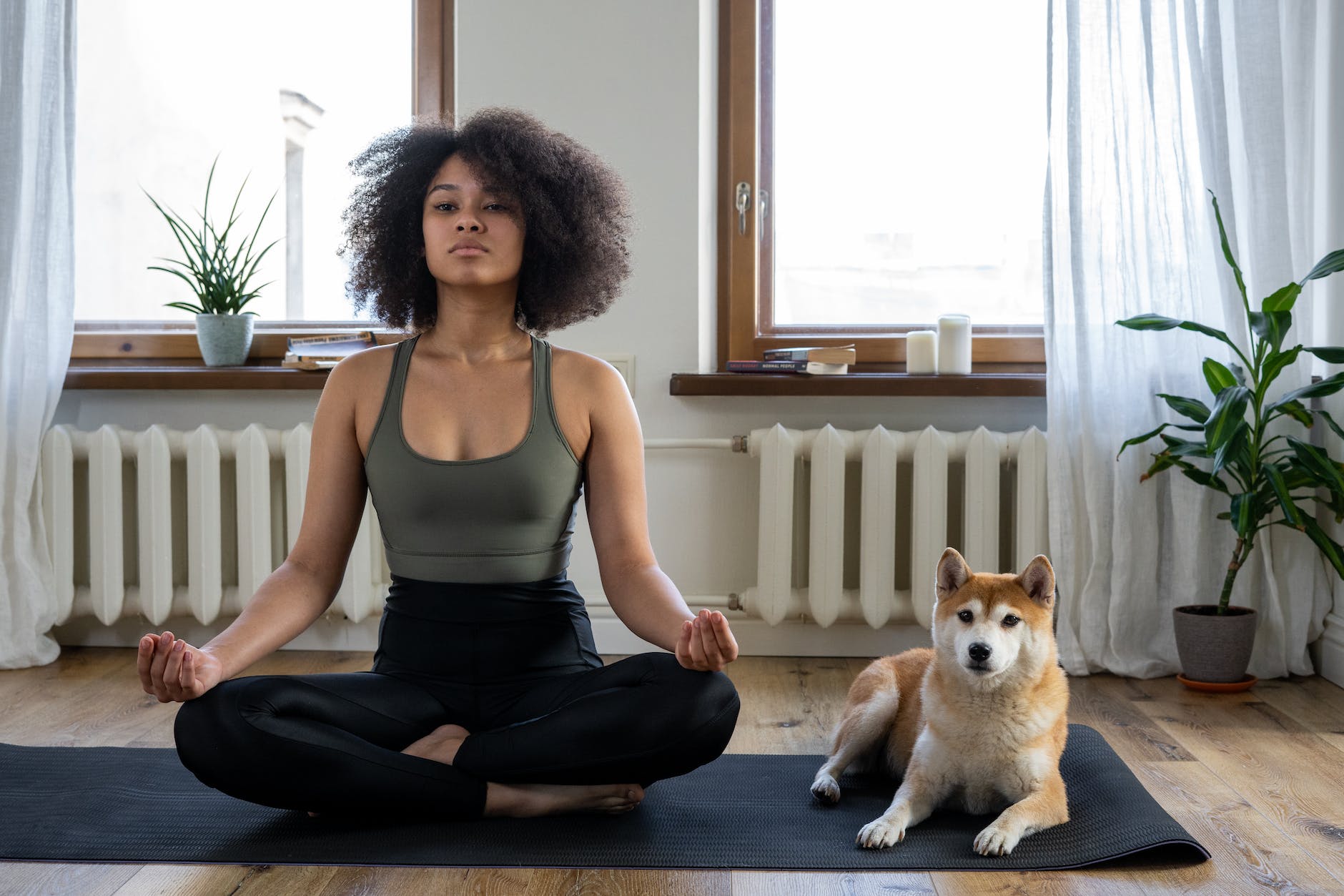 Woman With Curly Hair Doing Morning Routine. She's doing yoga with a dog sitting next to her